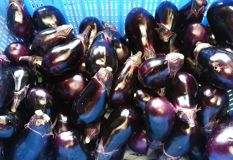 サラダ紫